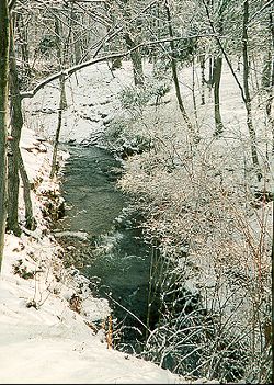 the creek in January
